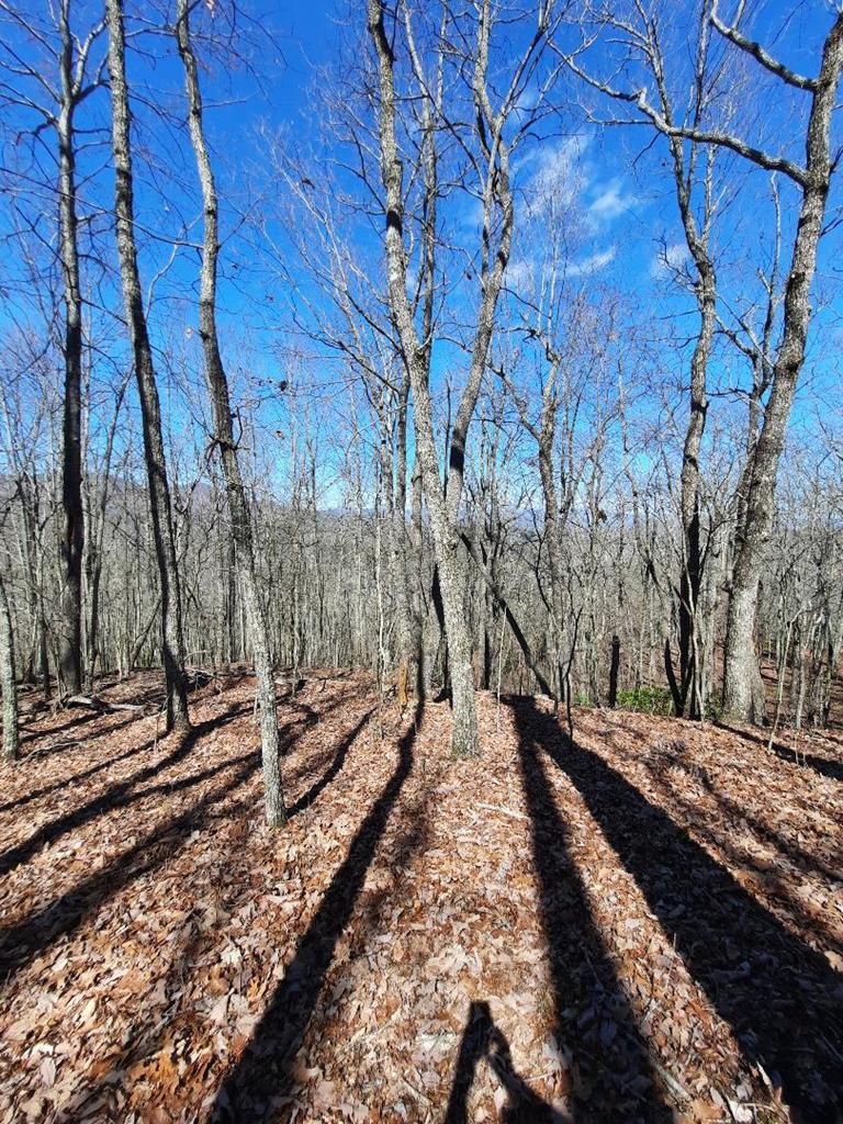 Lot # 7 Quail Run Ridge Property Photo 8