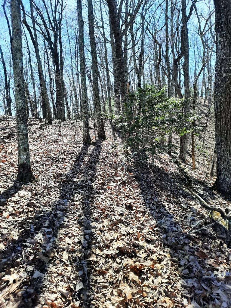 Lot # 7 Quail Run Ridge Property Photo 9