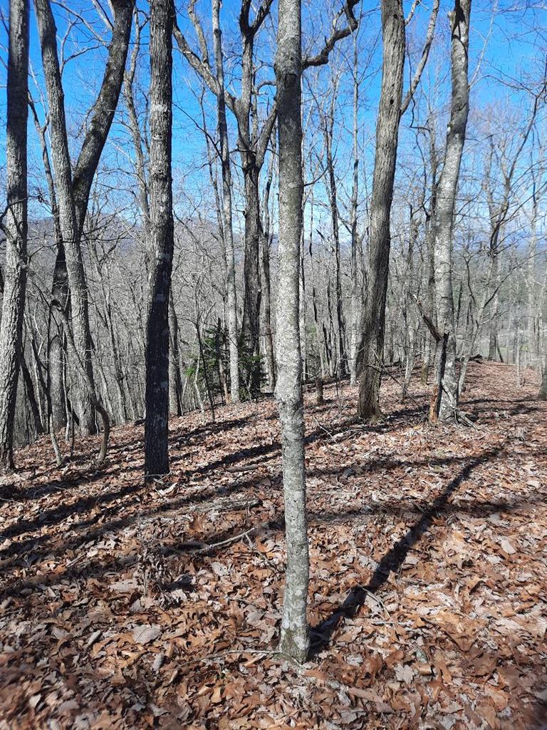 Lot # 7 Quail Run Ridge Property Photo 10