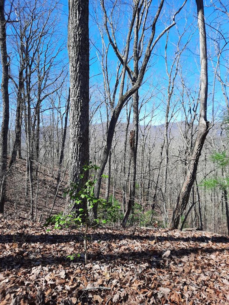 Lot # 7 Quail Run Ridge Property Photo 11
