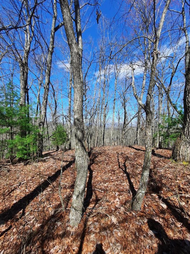 Lot # 7 Quail Run Ridge Property Photo 12