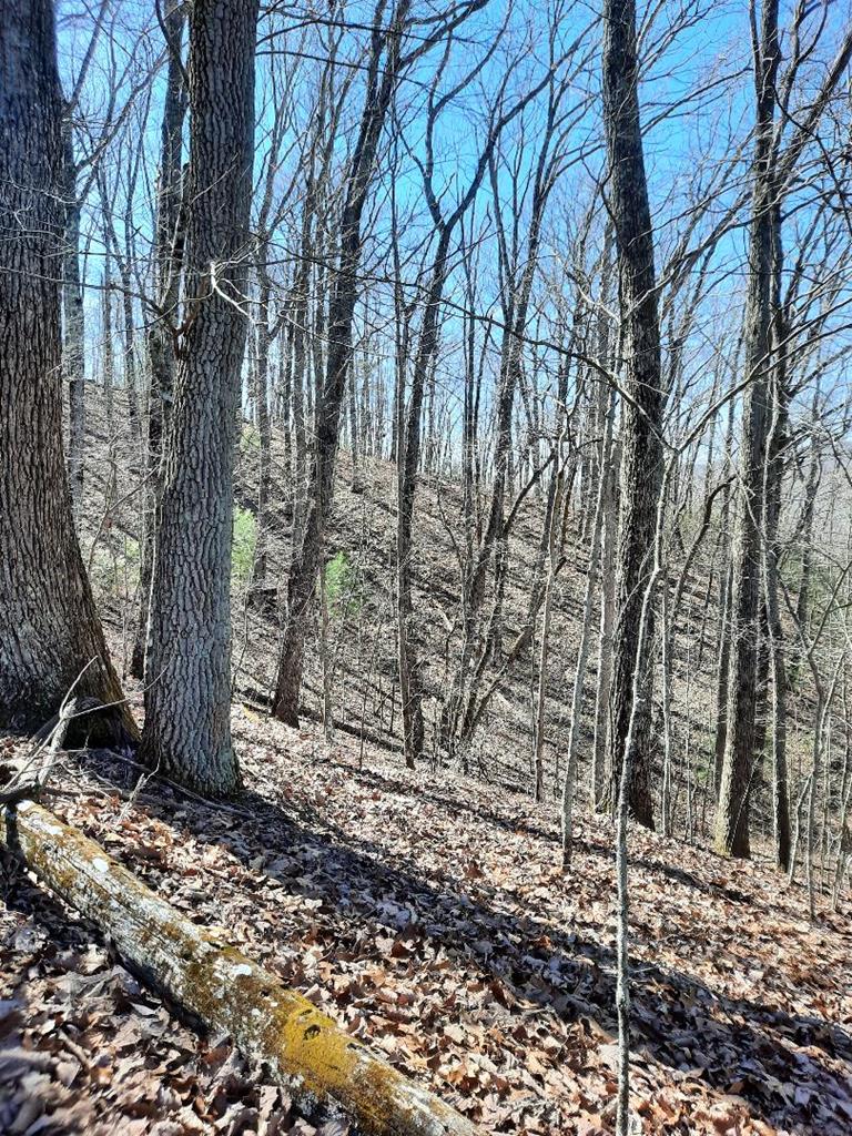 Lot # 7 Quail Run Ridge Property Photo 13