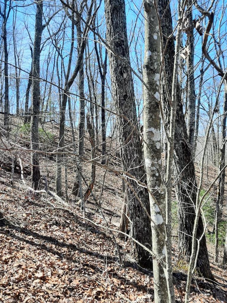 Lot # 7 Quail Run Ridge Property Photo 14