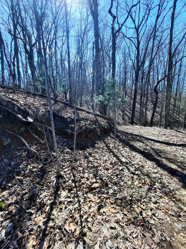 Lot # 7 Quail Run Ridge Property Photo 15