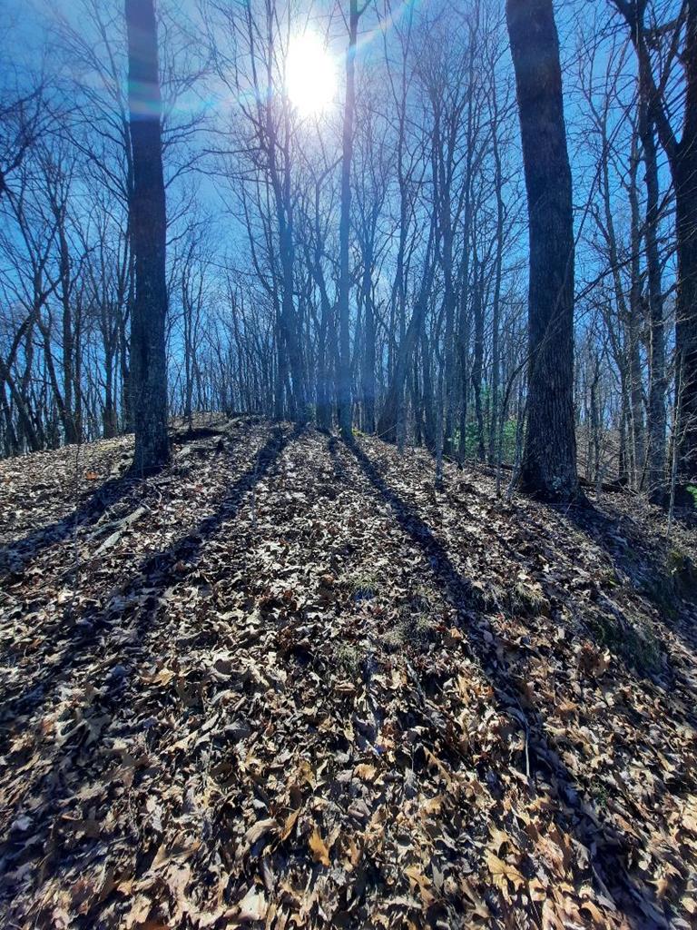 Lot # 7 Quail Run Ridge Property Photo 16