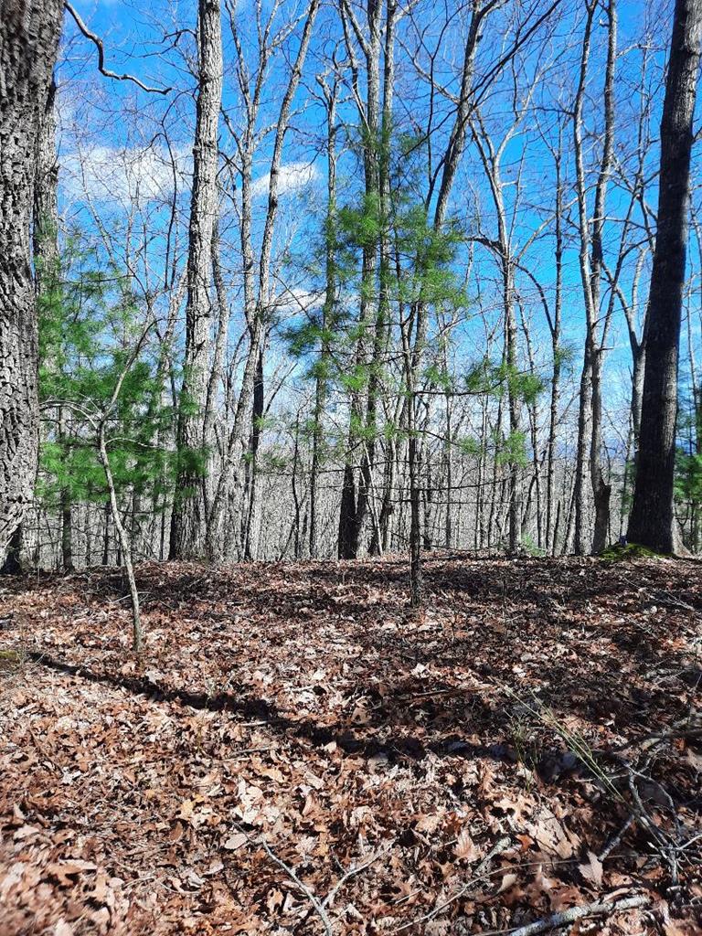 Lot # 7 Quail Run Ridge Property Photo 19