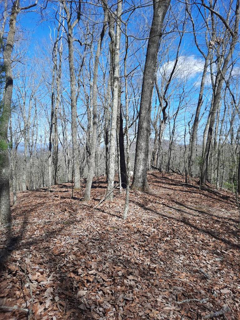 Lot # 7 Quail Run Ridge Property Photo 20