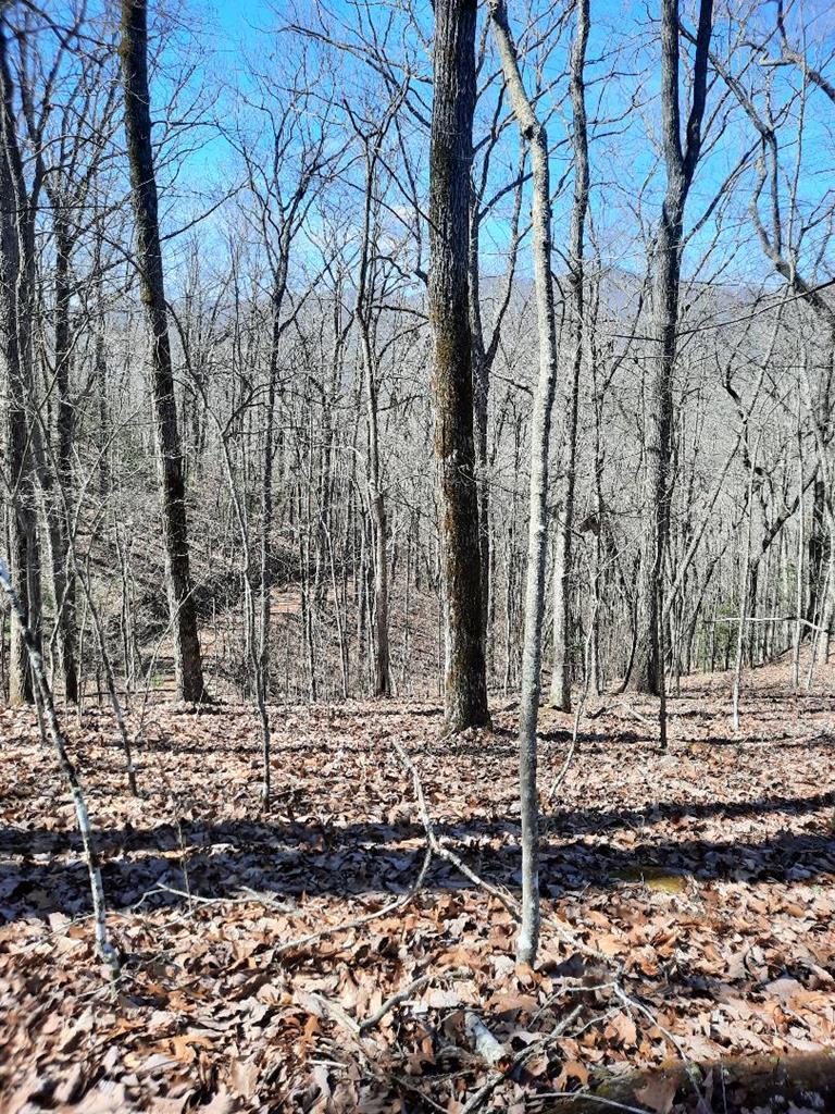Lot # 7 Quail Run Ridge Property Photo 21