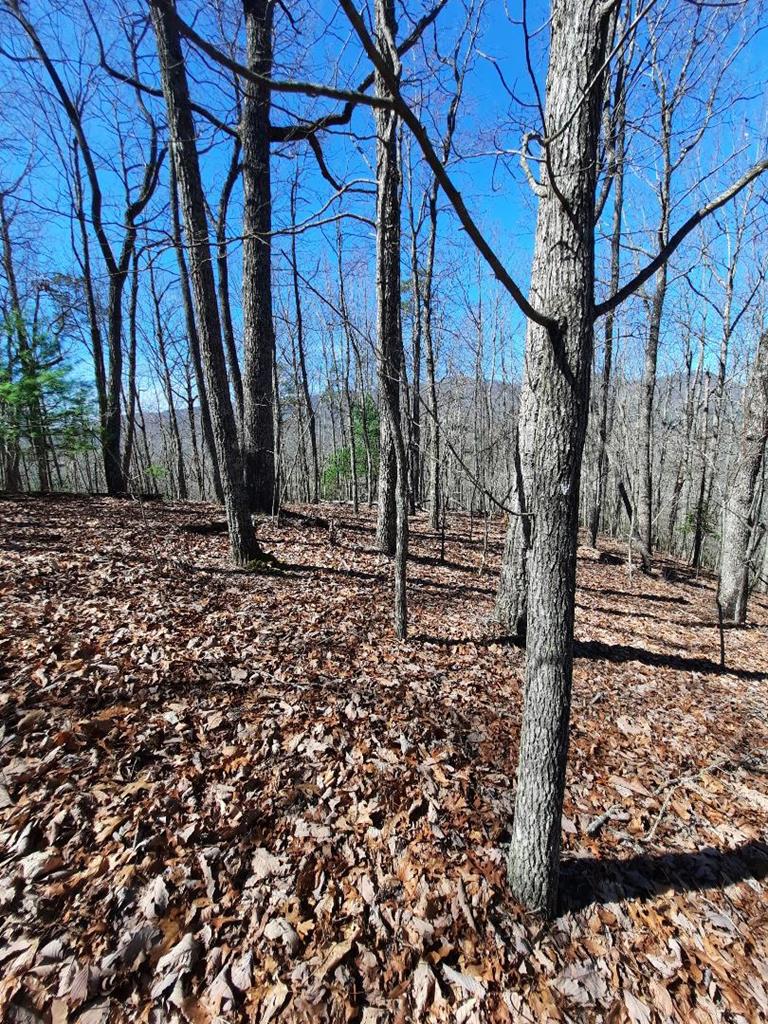 Lot # 7 Quail Run Ridge Property Photo 22