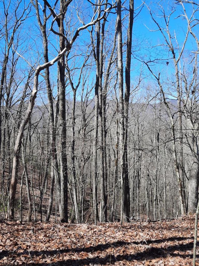 Lot # 7 Quail Run Ridge Property Photo 25