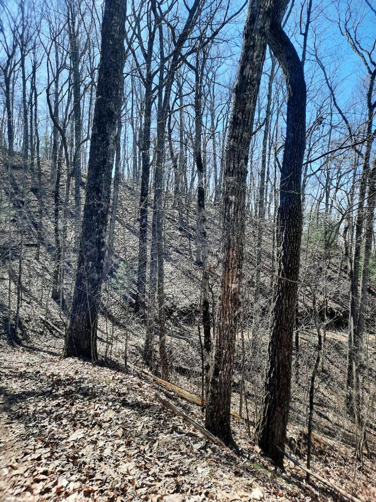Lot # 7 Quail Run Ridge Property Photo 26