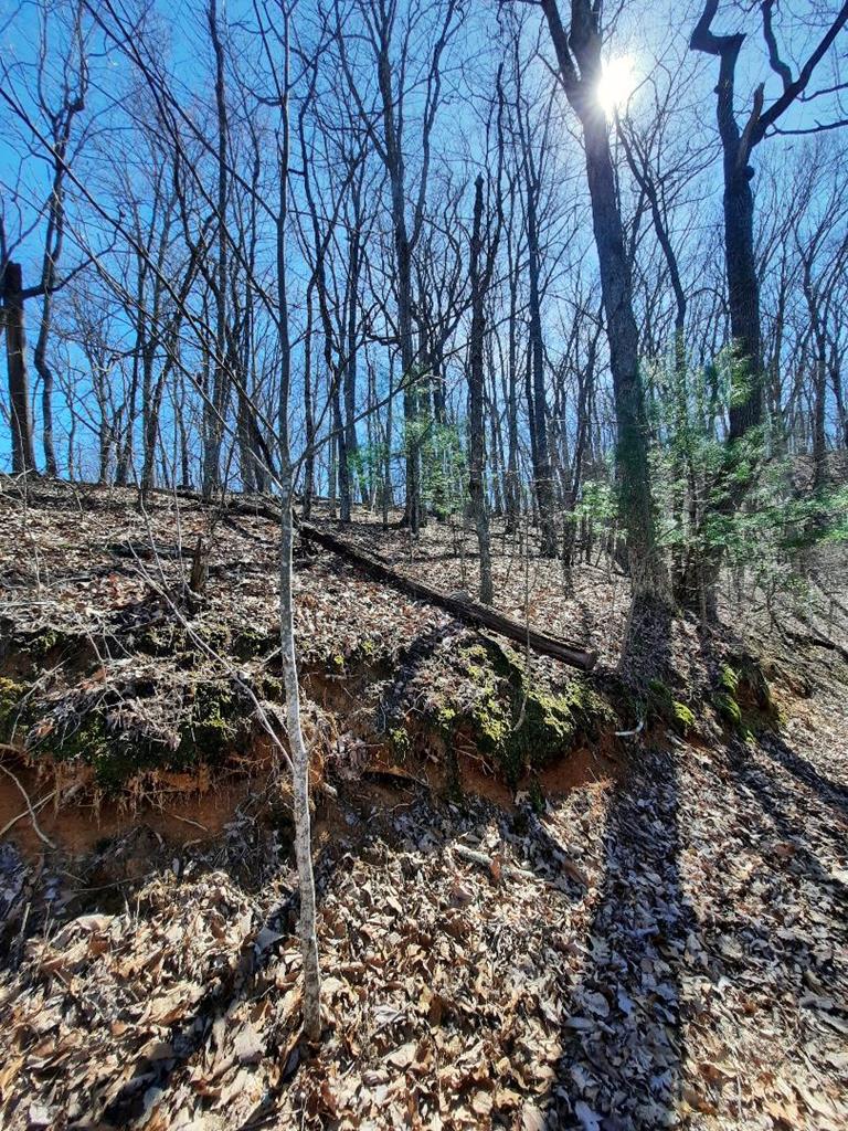 Lot # 7 Quail Run Ridge Property Photo 27