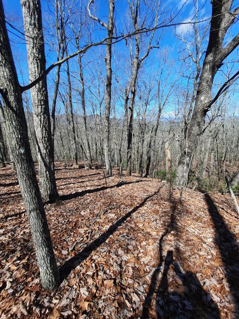 Lot # 7 Quail Run Ridge Property Photo 28