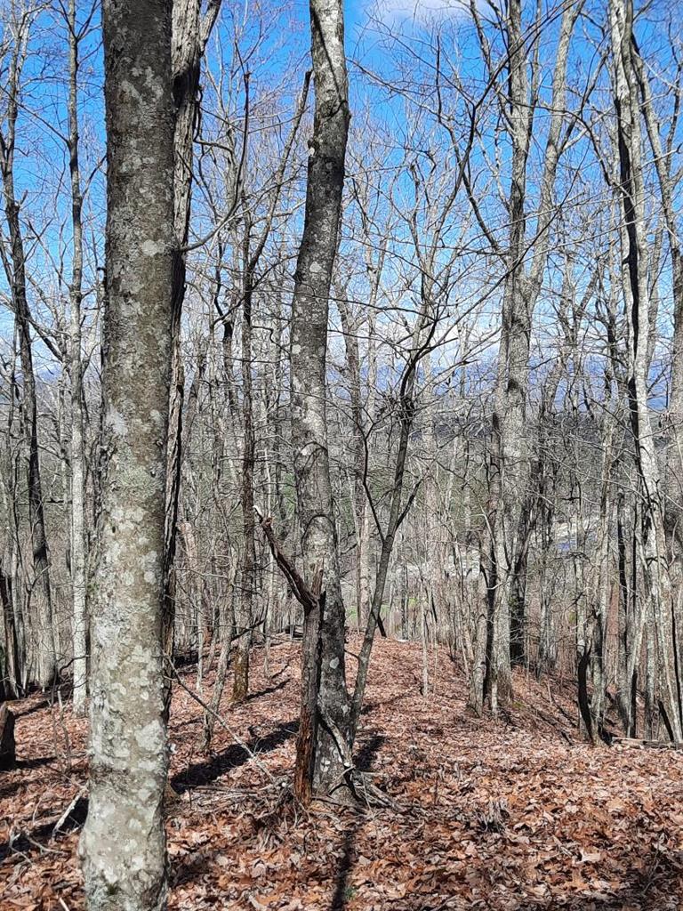 Lot # 7 Quail Run Ridge Property Photo 30