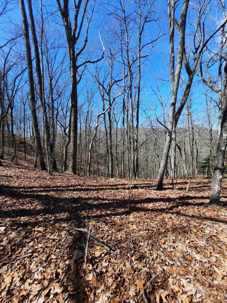 Lot # 7 Quail Run Ridge Property Photo 32