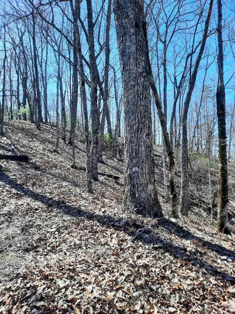 Lot # 7 Quail Run Ridge Property Photo 33