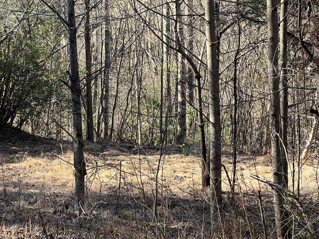 Lot 59c Mountain Harbour Lot Property Photo 1