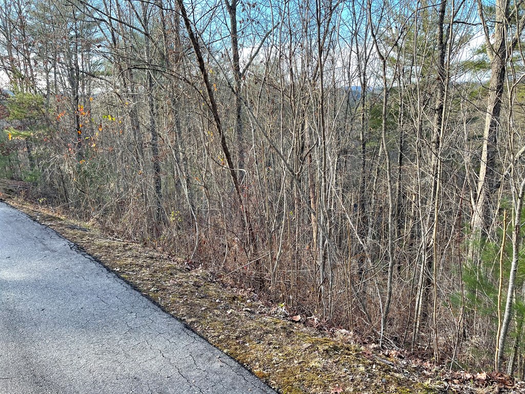 Lot 59c Mountain Harbour Lot Property Photo 7
