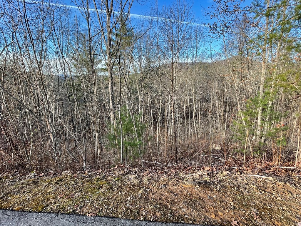 Lot 59c Mountain Harbour Lot Property Photo 8
