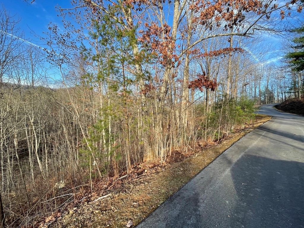 Lot 59c Mountain Harbour Lot Property Photo 9