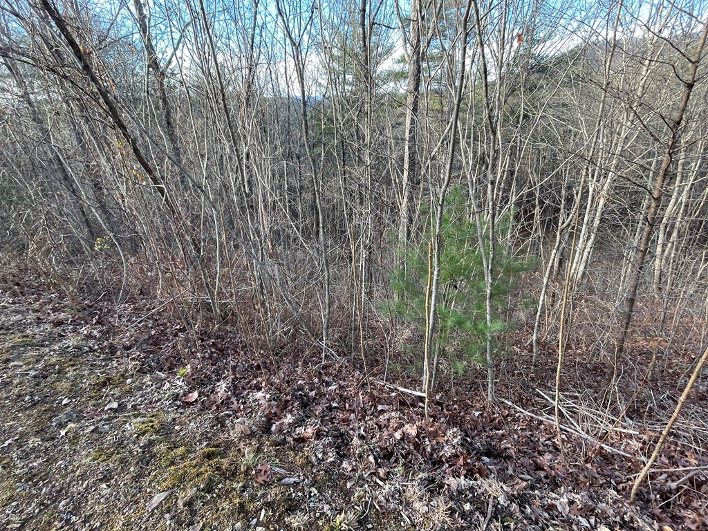 Lot 59c Mountain Harbour Lot Property Photo 10
