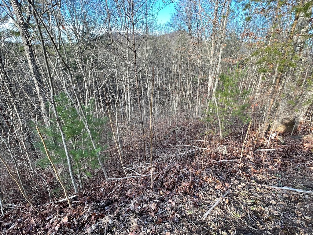 Lot 59c Mountain Harbour Lot Property Photo 11