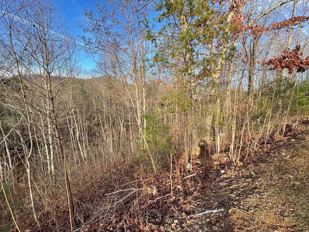 Lot 59c Mountain Harbour Lot Property Photo 12