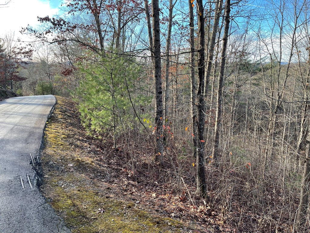 Lot 59c Mountain Harbour Lot Property Photo 13
