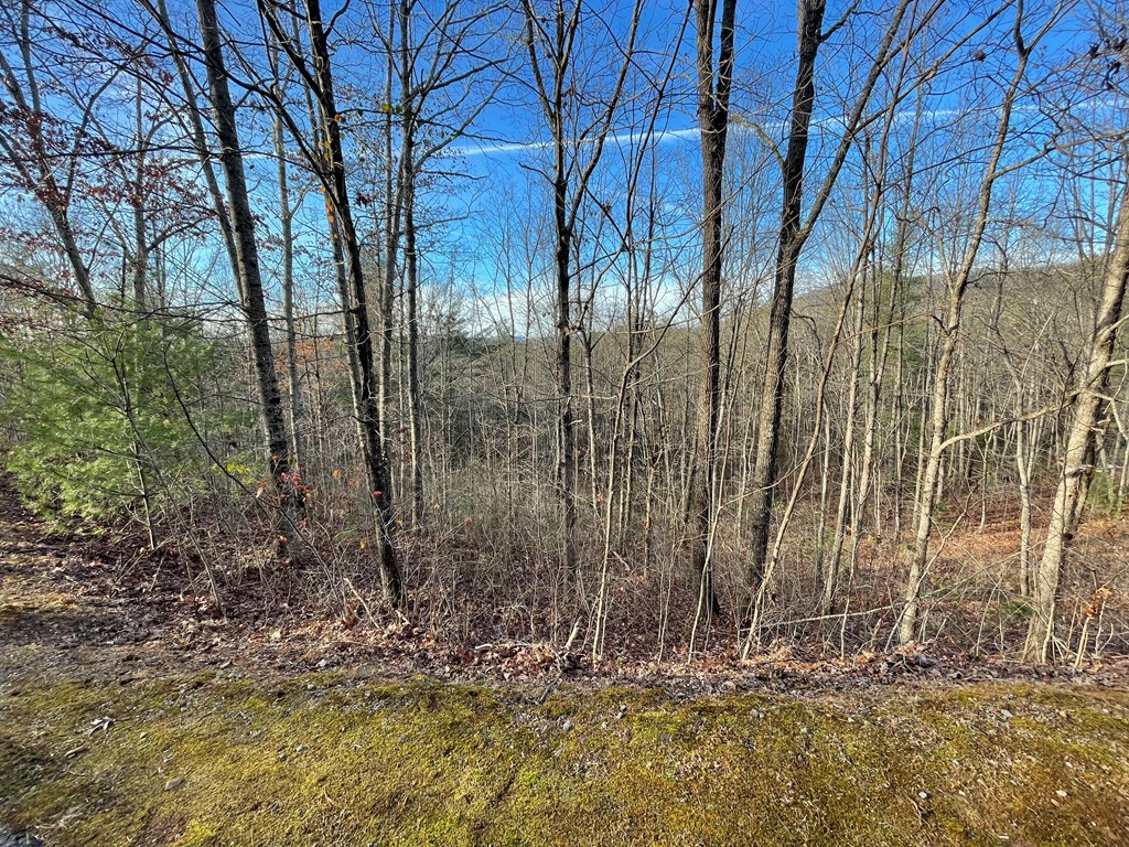 Lot 59c Mountain Harbour Lot Property Photo 14