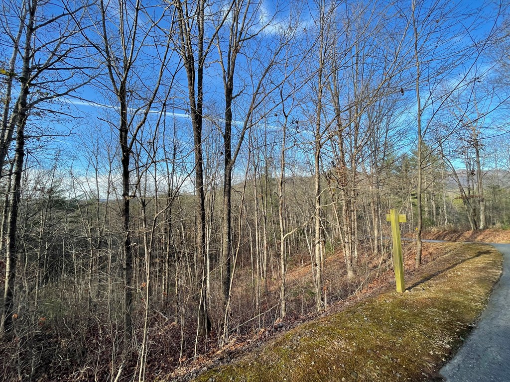 Lot 59c Mountain Harbour Lot Property Photo 15