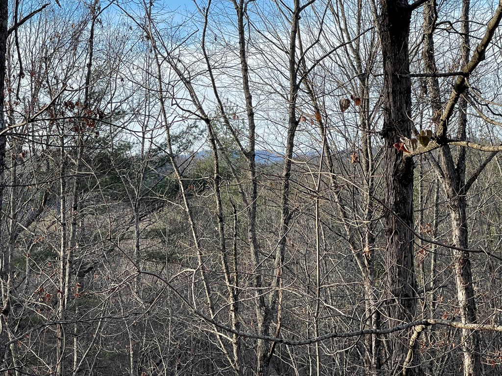 Lot 59c Mountain Harbour Lot Property Photo 16