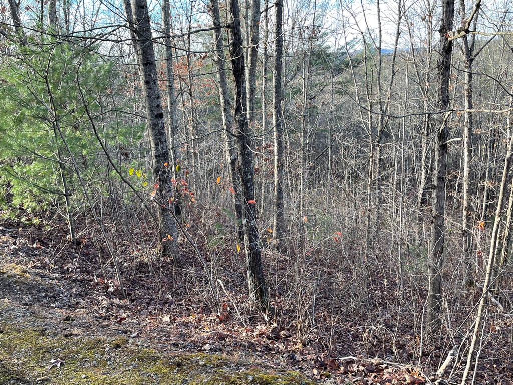 Lot 59c Mountain Harbour Lot Property Photo 17
