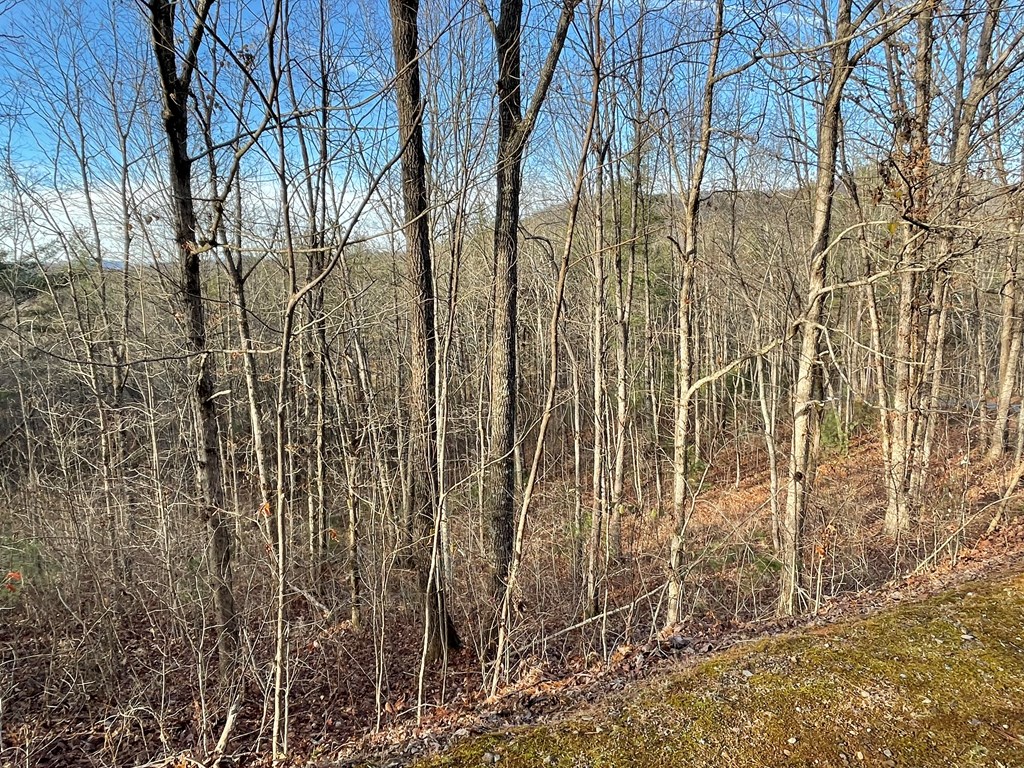 Lot 59c Mountain Harbour Lot Property Photo 18