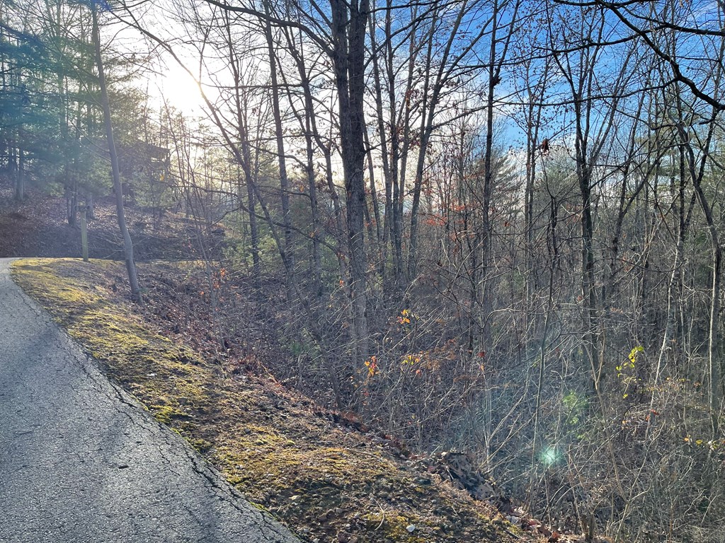 Lot 59c Mountain Harbour Lot Property Photo 19