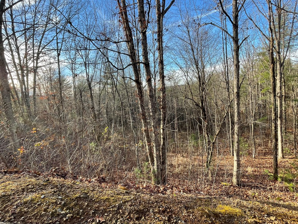 Lot 59c Mountain Harbour Lot Property Photo 20