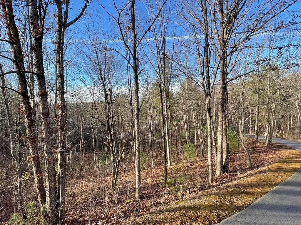 Lot 59c Mountain Harbour Lot Property Photo 21