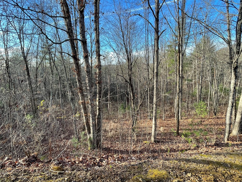 Lot 59c Mountain Harbour Lot Property Photo 22