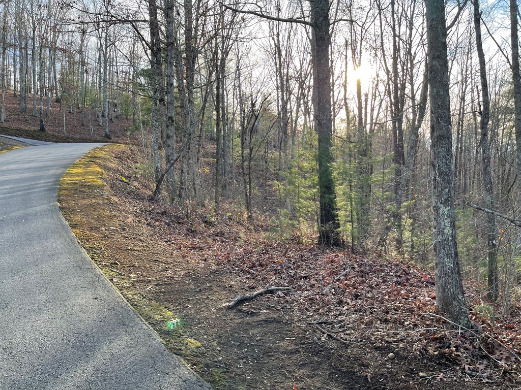 Lot 59c Mountain Harbour Lot Property Photo 23