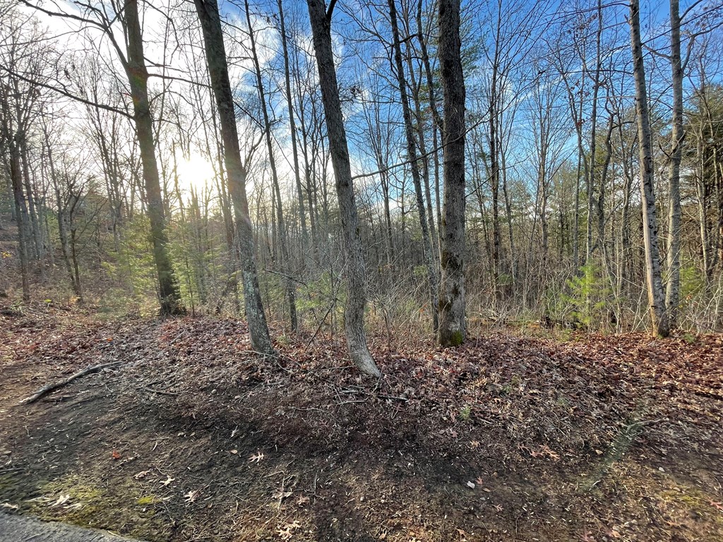 Lot 59c Mountain Harbour Lot Property Photo 24