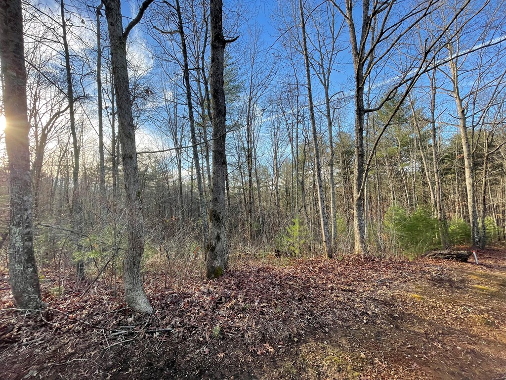 Lot 59c Mountain Harbour Lot Property Photo 25