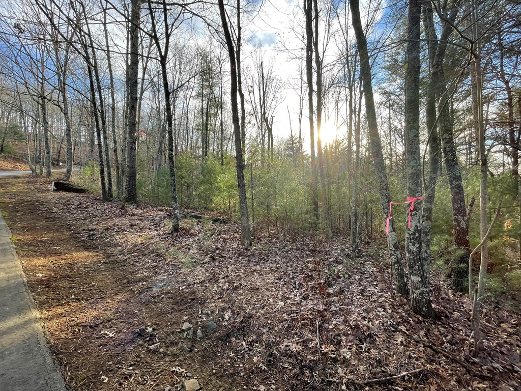 Lot 59c Mountain Harbour Lot Property Photo 26