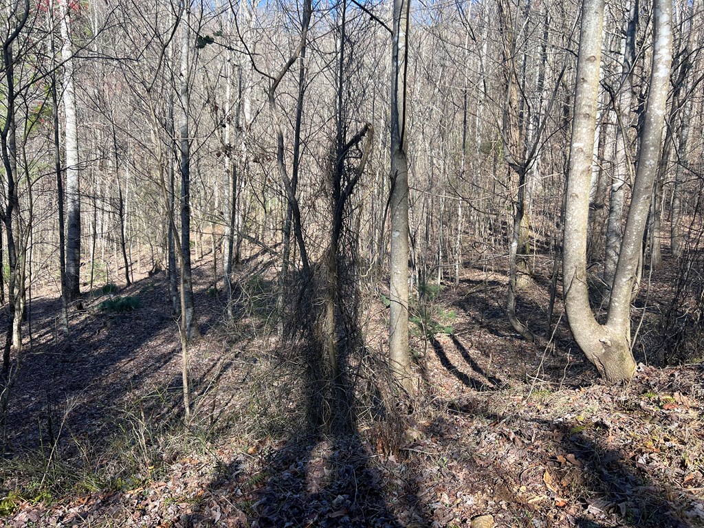 Lot 59c Mountain Harbour Lot Property Photo 28