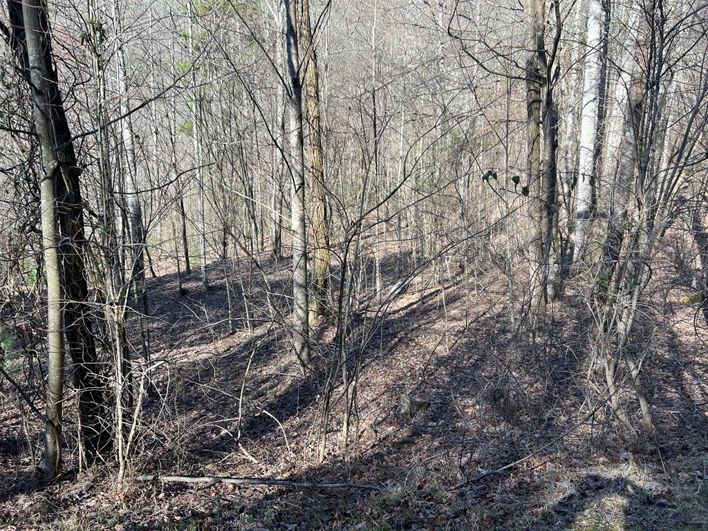 Lot 59c Mountain Harbour Lot Property Photo 29