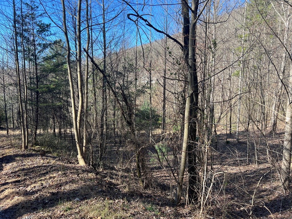 Lot 59c Mountain Harbour Lot Property Photo 30