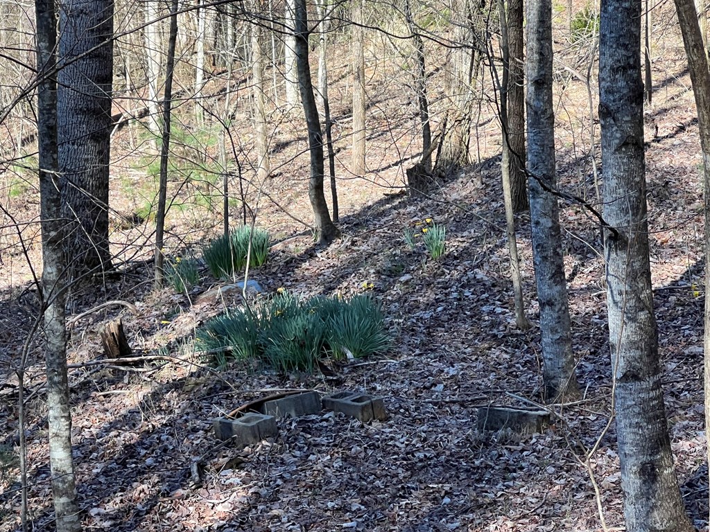 Lot 59c Mountain Harbour Lot Property Photo 31