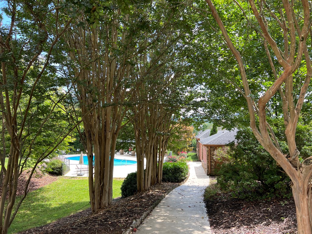 Lot 59c Mountain Harbour Lot Property Photo 50