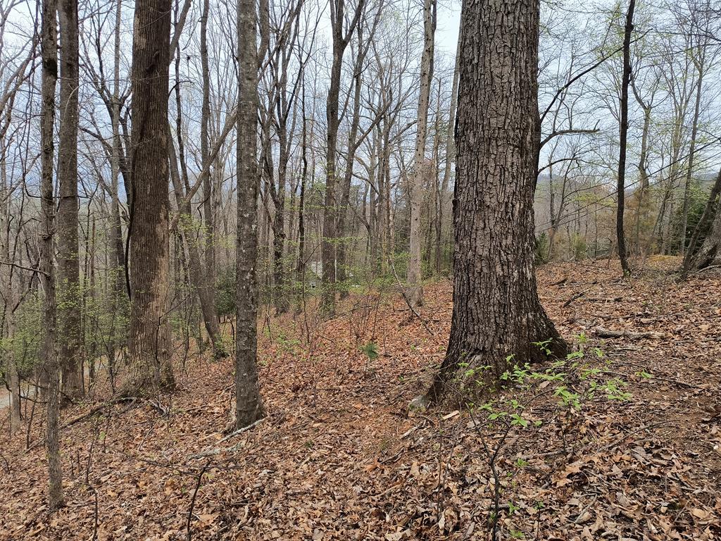 M99 Sleepy Hollow Road Property Photo 1