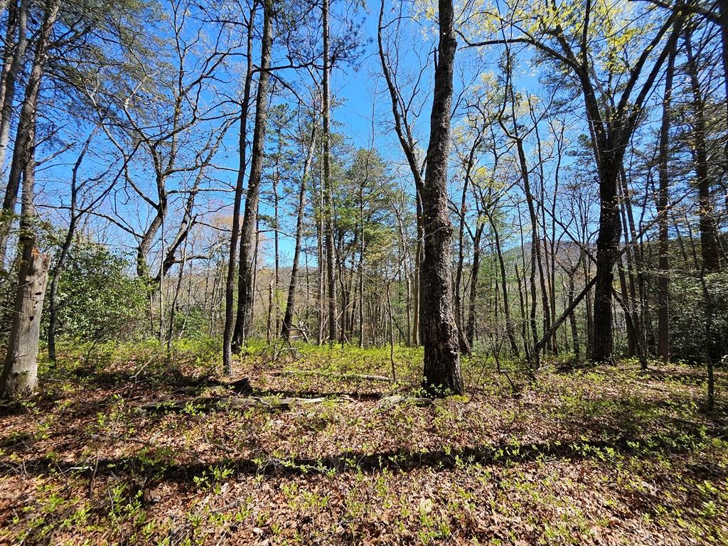 5.2 Deer Crest Road