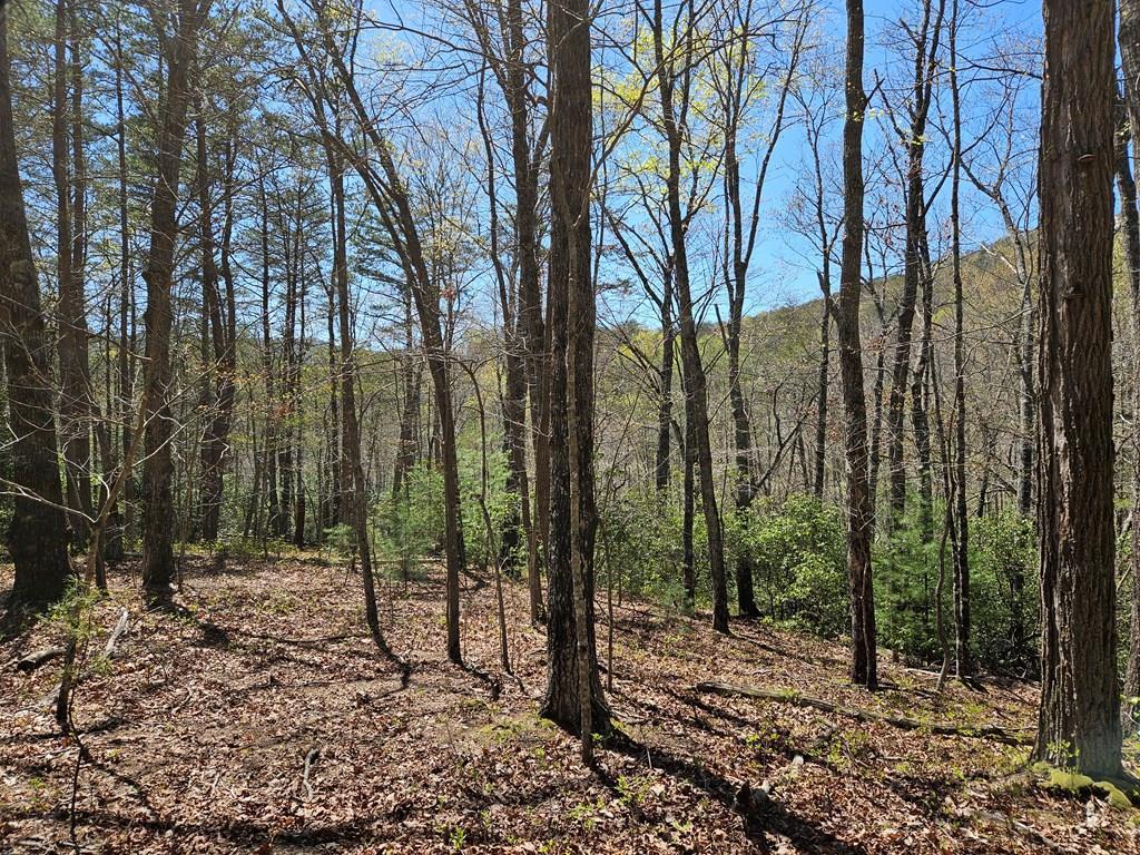 5.2 Deer Crest Road Property Photo 2