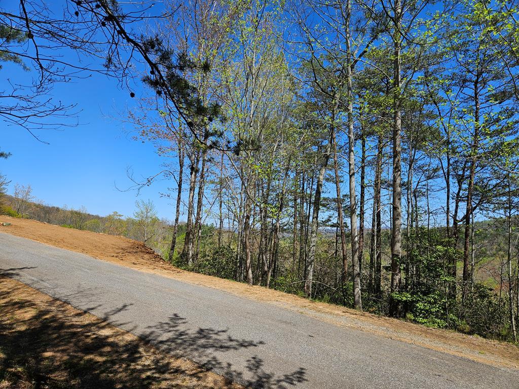 5.2 Deer Crest Road Property Photo 3